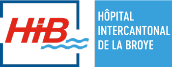 Logo HIB