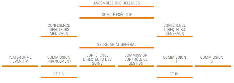 Organisation de la FHV en 2009
