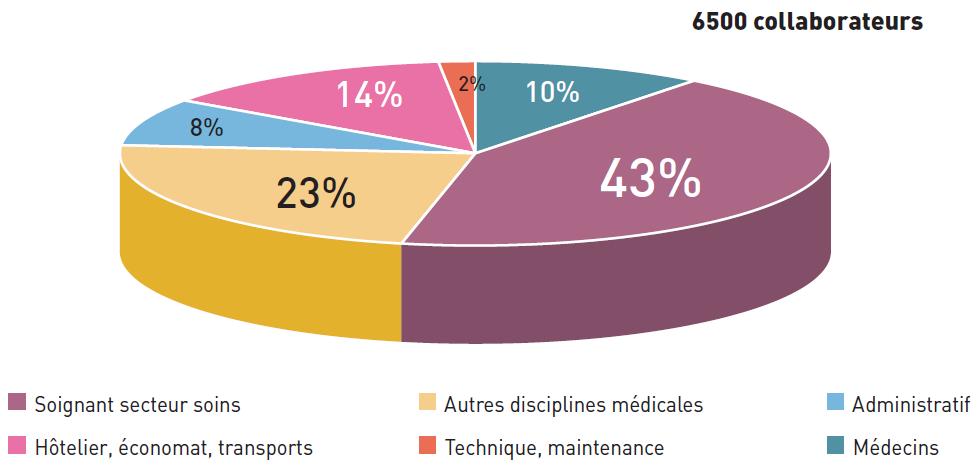 rg07-repartition-collaborateurs